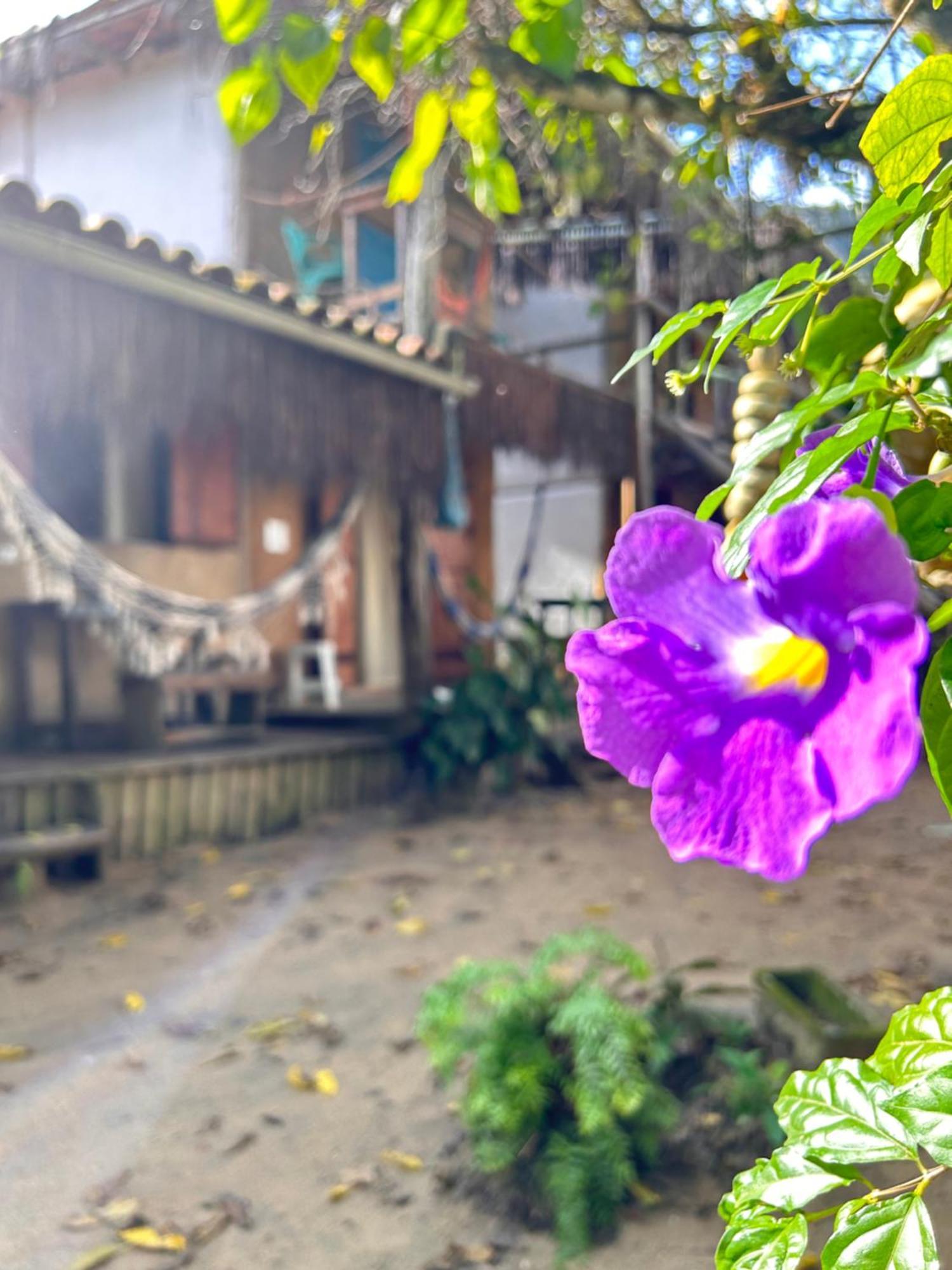 Pousada Roy Bonete Ilhabela Bagian luar foto
